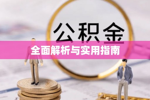 武安全面解析与实用指南