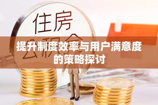 武安提升制度效率与用户满意度的策略探讨